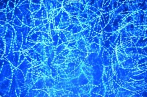 Abstract network of glowing blue light trails, representing autonomous AI agents operating across interconnected systems